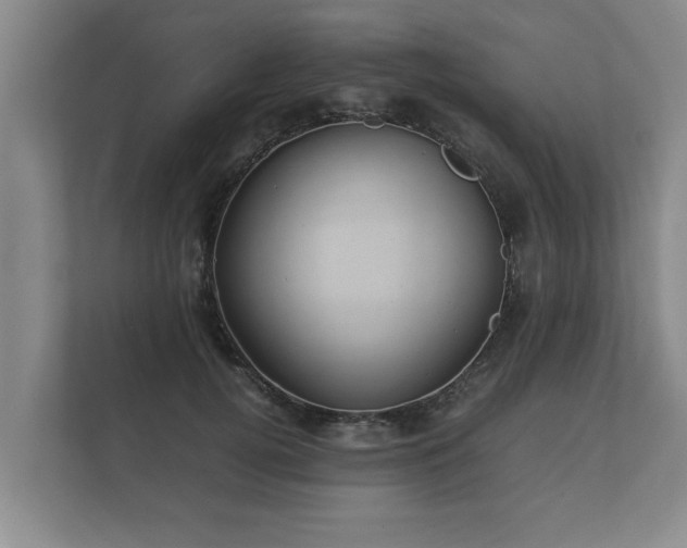 X0000112370752200908201502