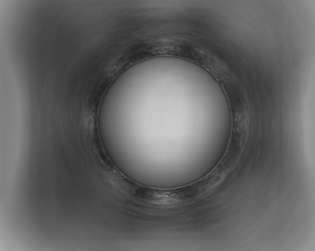 X0000112370753200908201502