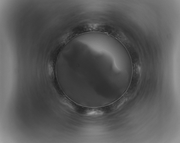 X0000112370754200908201502