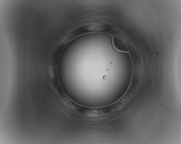 X0000112370755200908201502