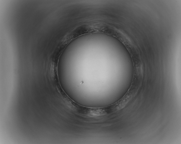 X0000112370757200908201502