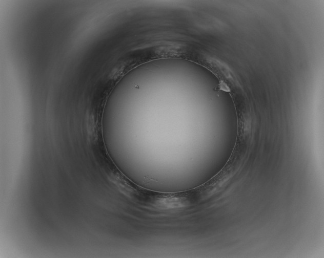 X0000112370759200908201502