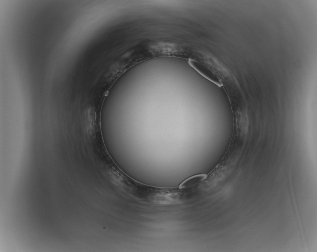 X0000112370760200908201502