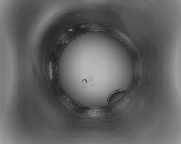 X0000112370761200908201502