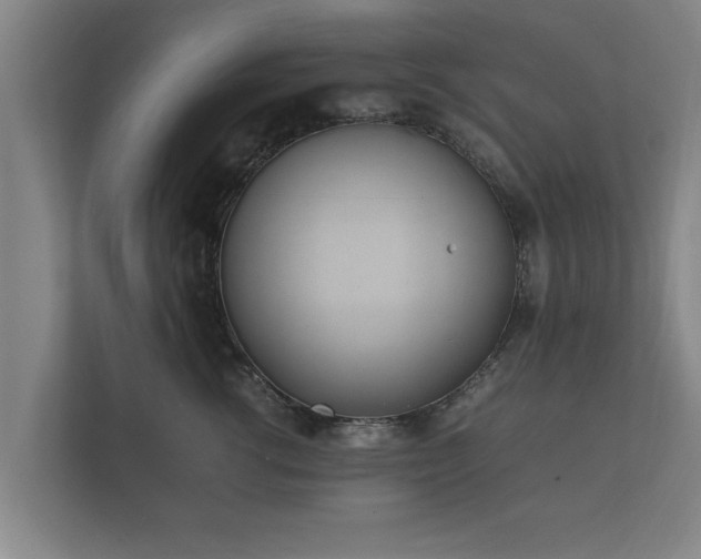 X0000112370762200908201502