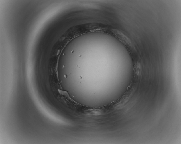 X0000112370763200908201502