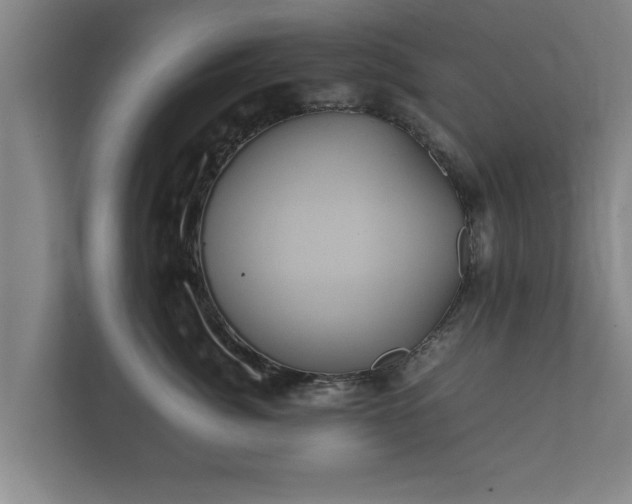 X0000112370764200908201502