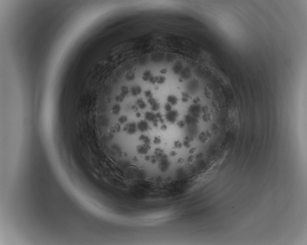 X0000112370765200908201502