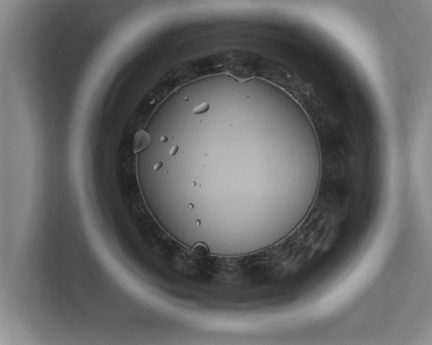 X0000112370766200908201502