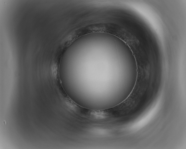 X0000112370767200908201502