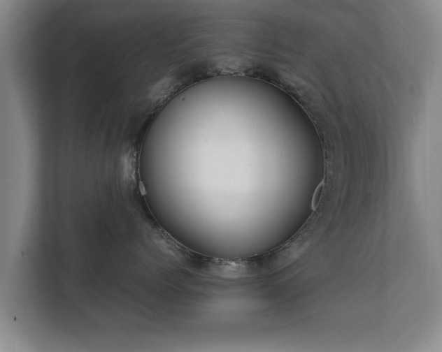 X0000112370768200908201502