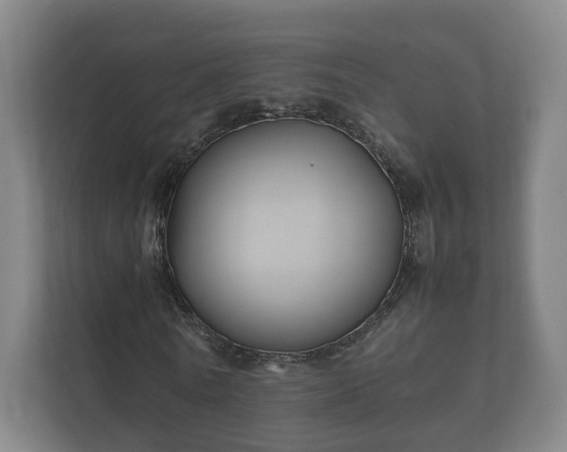 X0000112370770200908201501