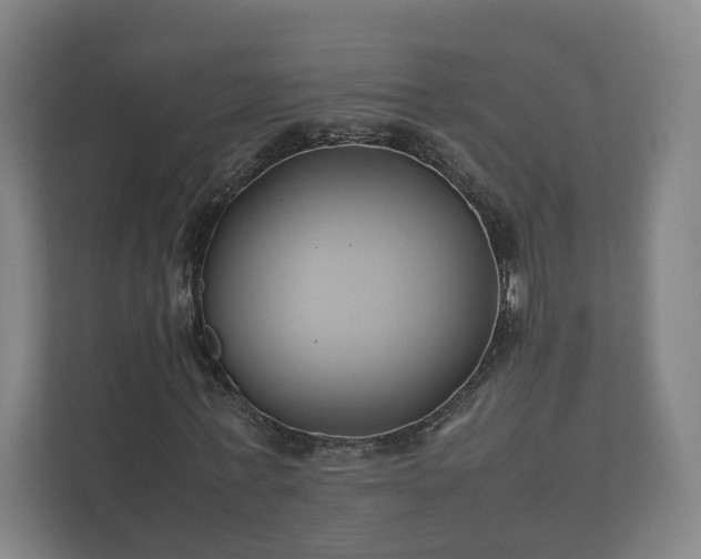 X0000112370771200908201501