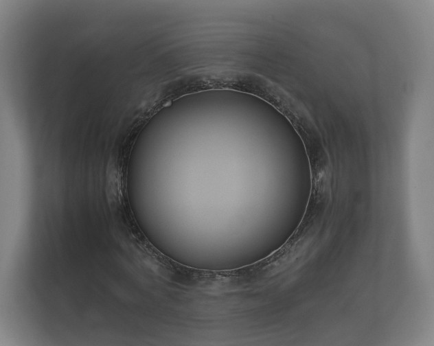 X0000112370772200908201501