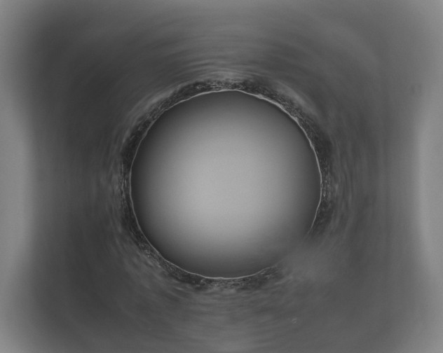 X0000112370773200908201501