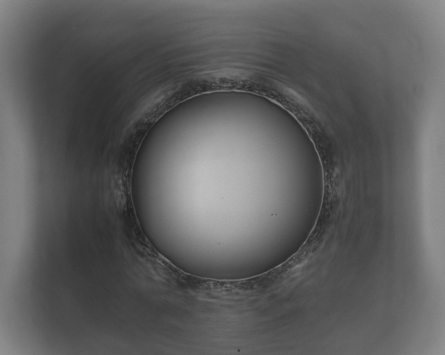 X0000112370774200908201501