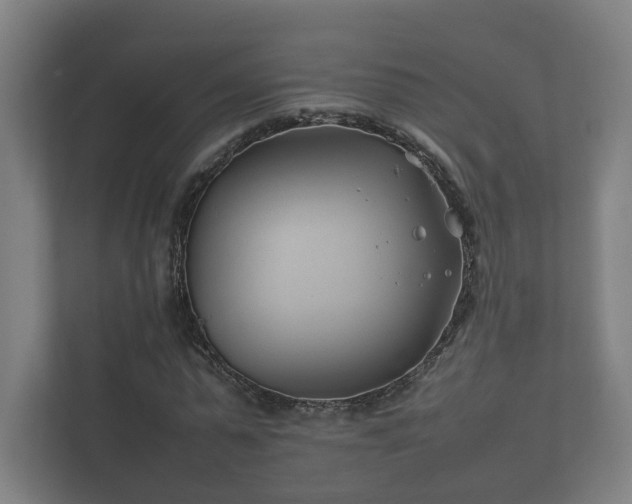 X0000112370775200908201501