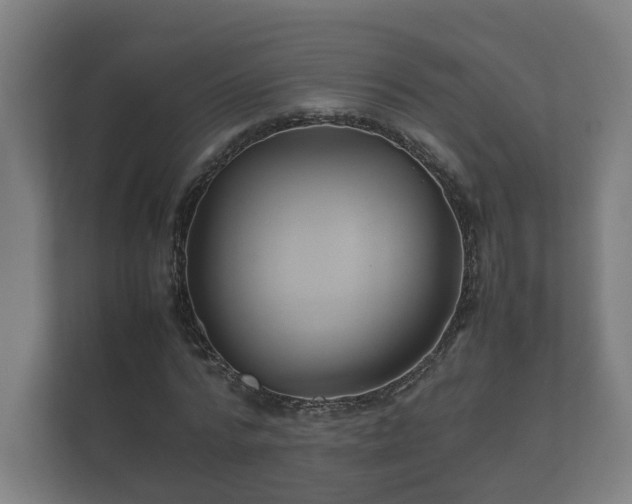 X0000112370776200908201501