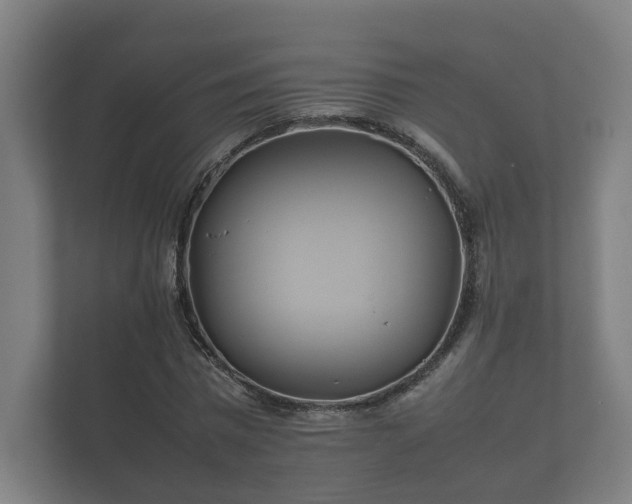 X0000112370777200908201501