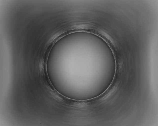 X0000112370778200908201501