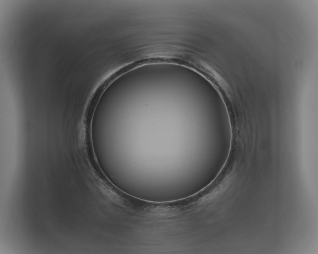 X0000112370779200908201501