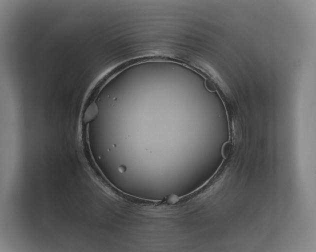 X0000112370780200908201501