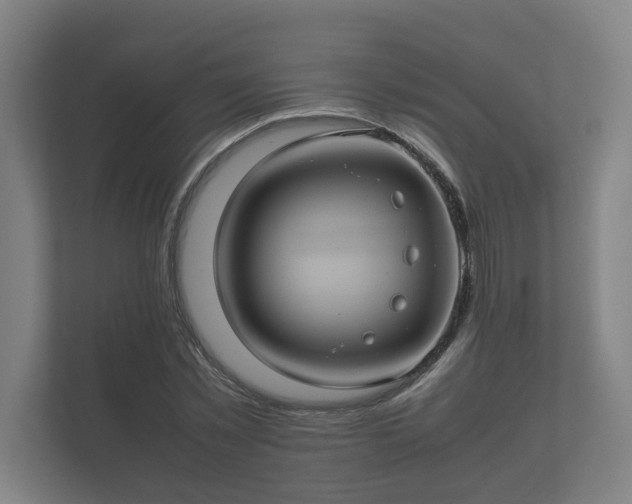 X0000112370781200908201501