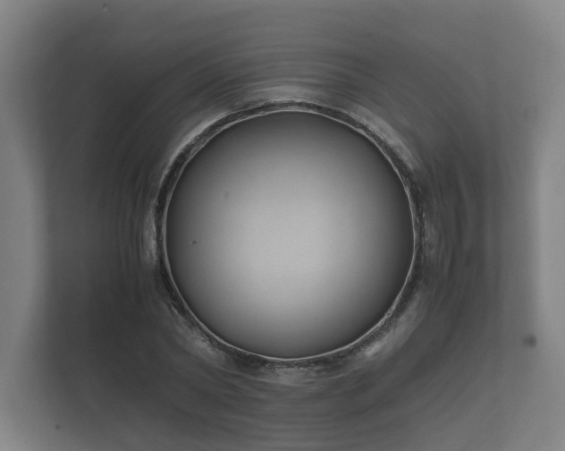 X0000112370782200908201501