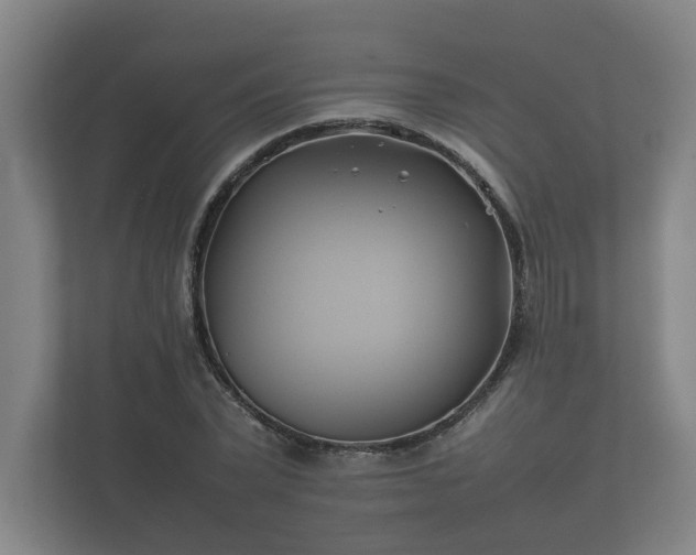 X0000112370783200908201501