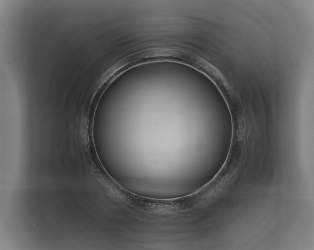 X0000112370786200908201501