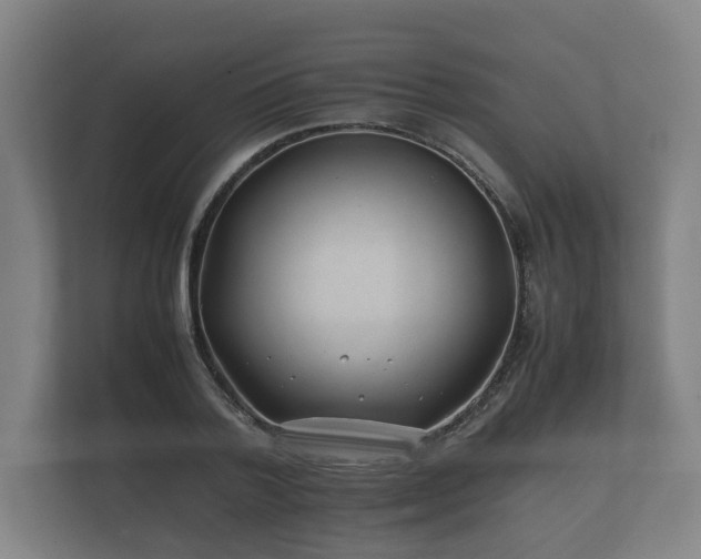 X0000112370788200908201501