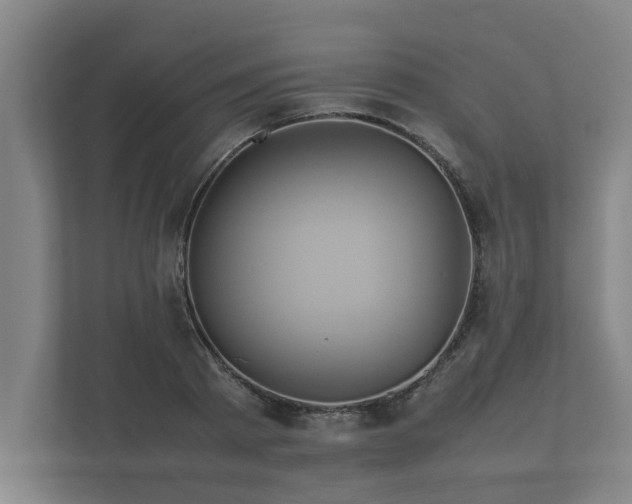 X0000112370793200908201501