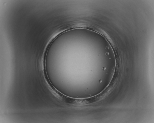 X0000112370795200908201501