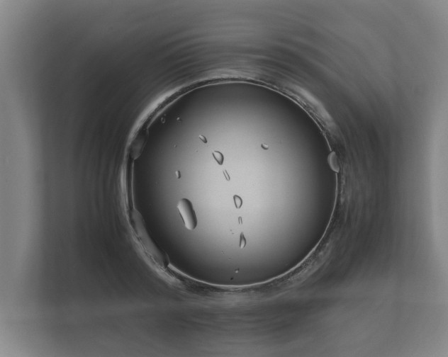 X0000112370796200908201501