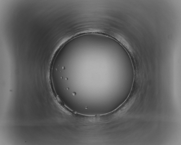 X0000112370797200908201501