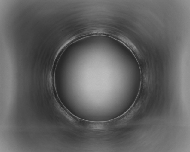 X0000112370798200908201501