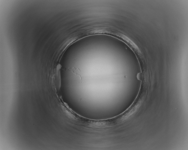 X0000112370801200908201501