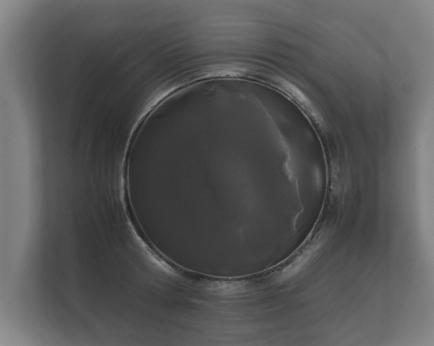 X0000112370802200908201501