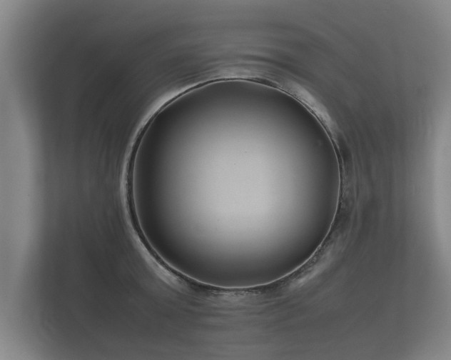 X0000112370803200908201501