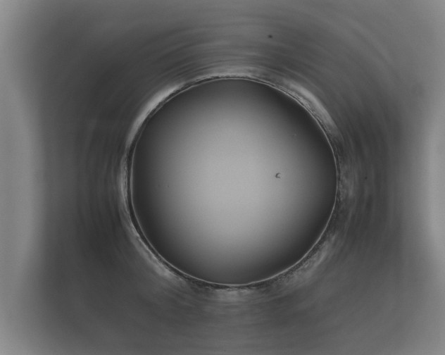 X0000112370804200908201501