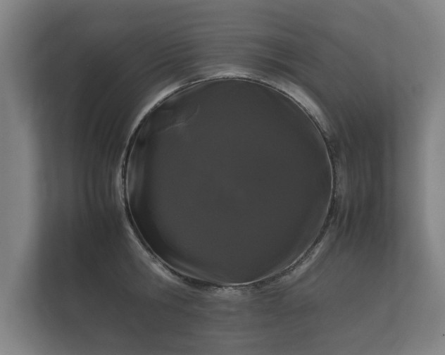 X0000112370806200908201501