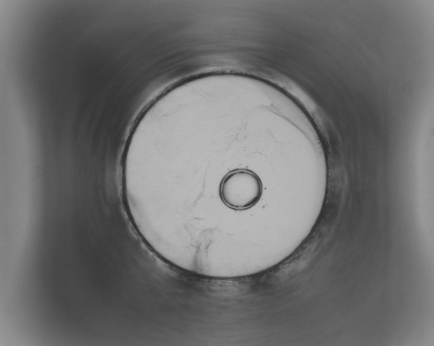 X0000112370807200908201501