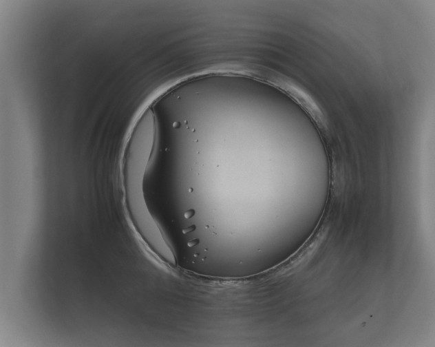 X0000112370808200908201501