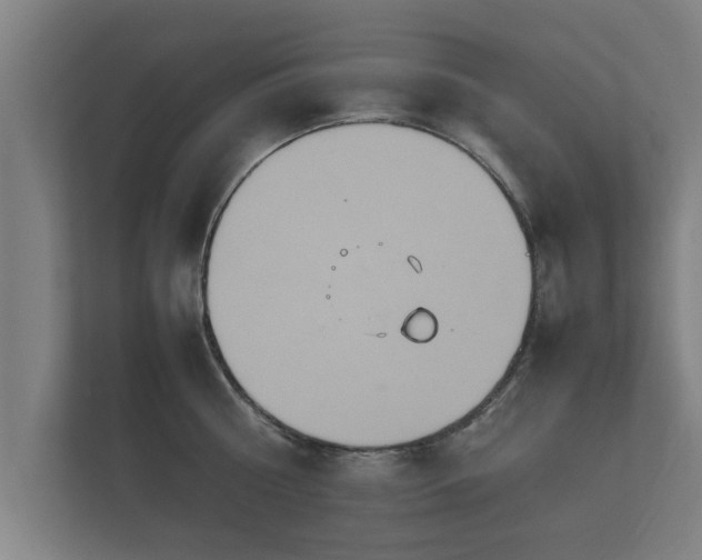 X0000112370810200908201501