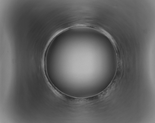 X0000112370811200908201501