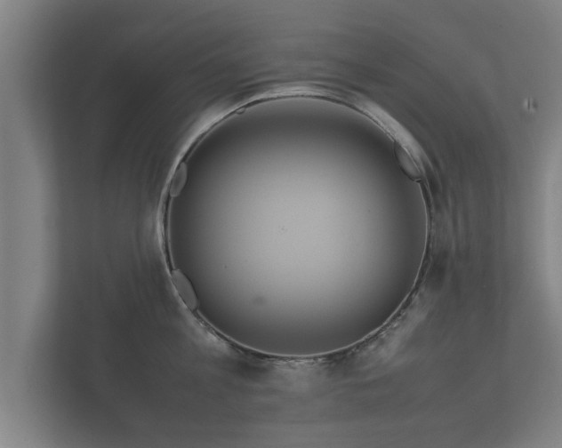 X0000112370813200908201501