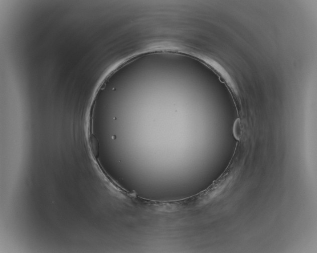 X0000112370815200908201501