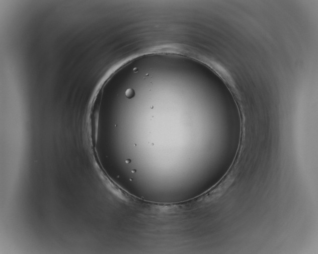 X0000112370816200908201501