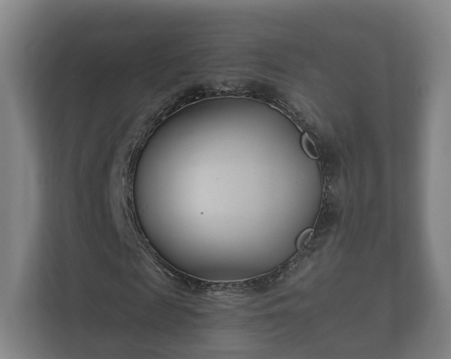 X0000112370817200908201500