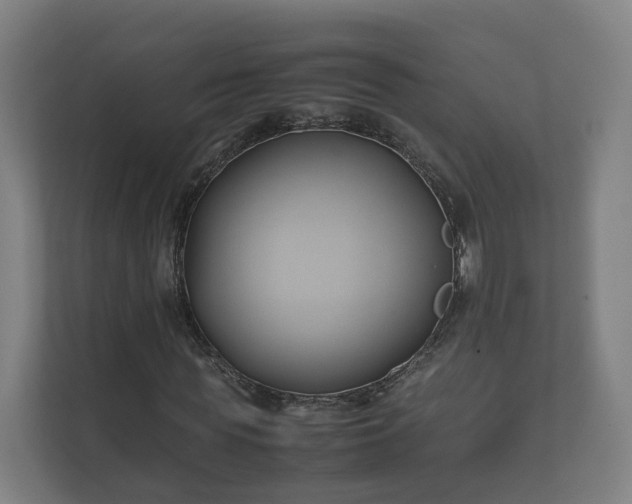 X0000112370819200908201500